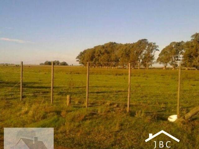 #4 - CAMPO RURAL para Venta en Indio Rico - AR-B - 2