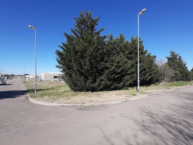 #77 - TERRENO para Venta en Bahia Blanca - AR-B