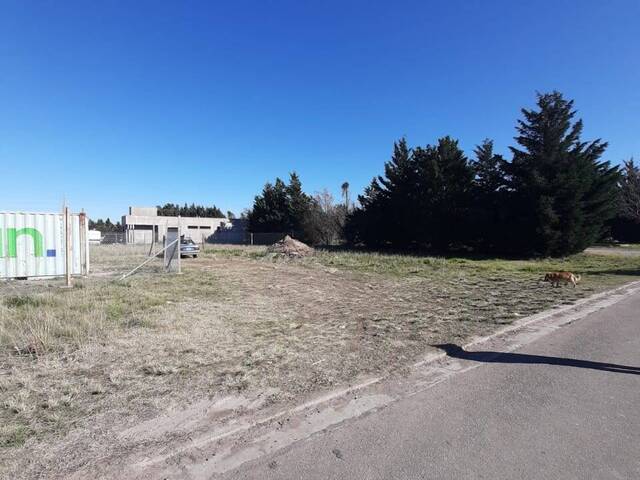 TERRENO para Venta en Bahia Blanca - 5
