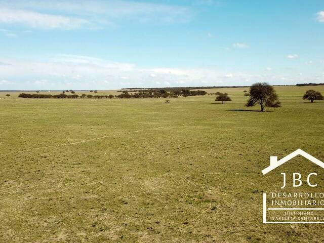 CAMPO RURAL para Venta en Bahia Blanca - 5