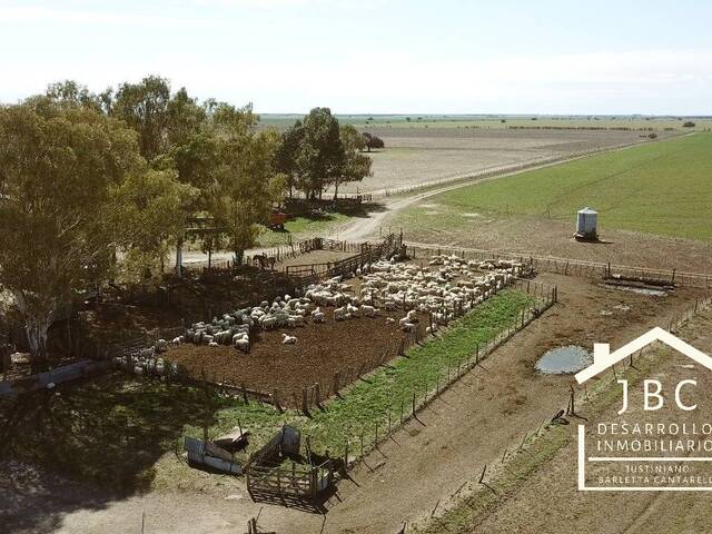 #238 - CAMPO RURAL para Venta en Bahia Blanca - AR-B - 3