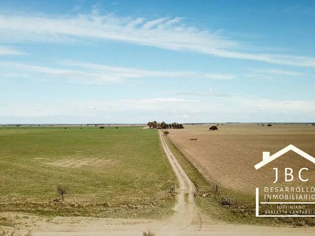 CAMPO RURAL para Venta en Bahia Blanca - 4
