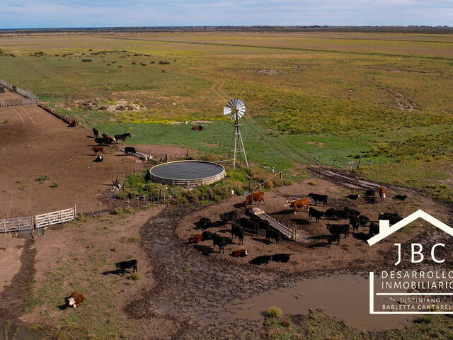 CAMPO RURAL para Venta en Viedma - 5