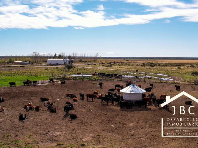 #305 - CAMPO RURAL para Venta en Viedma - AR-R - 2