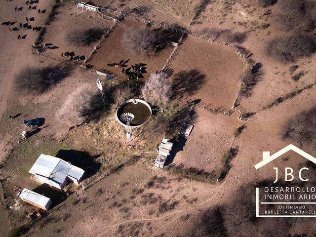 #306 - CAMPO RURAL para Venta en Bahia Blanca - AR-B - 2