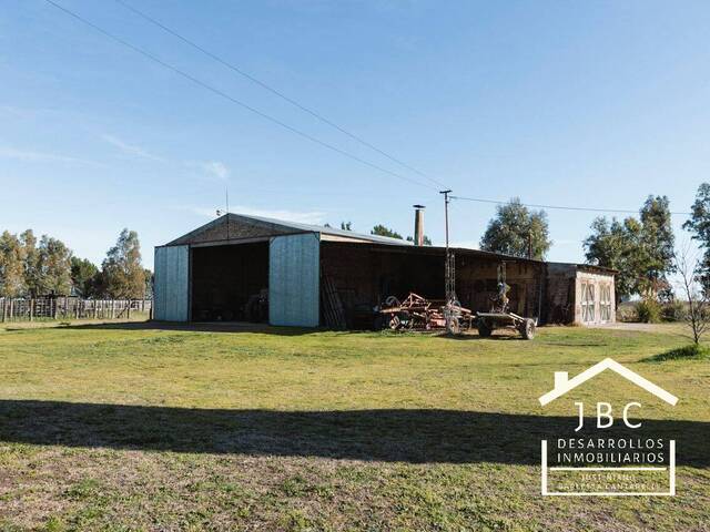 #319 - CAMPO RURAL para Venta en Mayor Buratovich - AR-B - 2