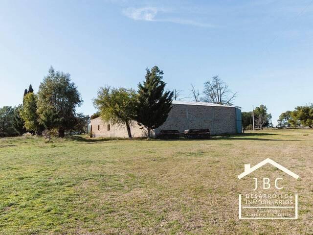 #319 - CAMPO RURAL para Venta en Mayor Buratovich - AR-B - 3