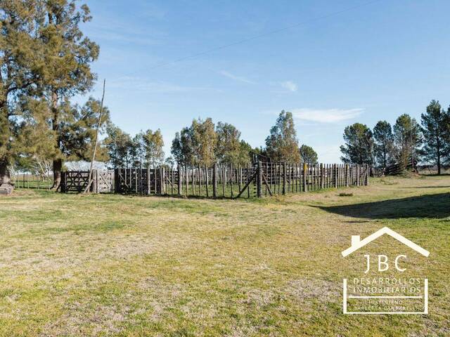 #319 - CAMPO RURAL para Venta en Mayor Buratovich - AR-B - 1