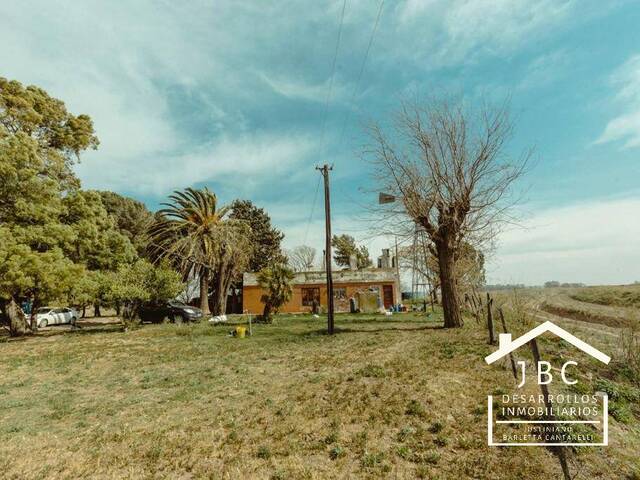 #331 - CAMPO RURAL para Venta en Mayor Buratovich - AR-B - 3