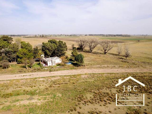 CAMPO RURAL para Venta en Mayor Buratovich - 4