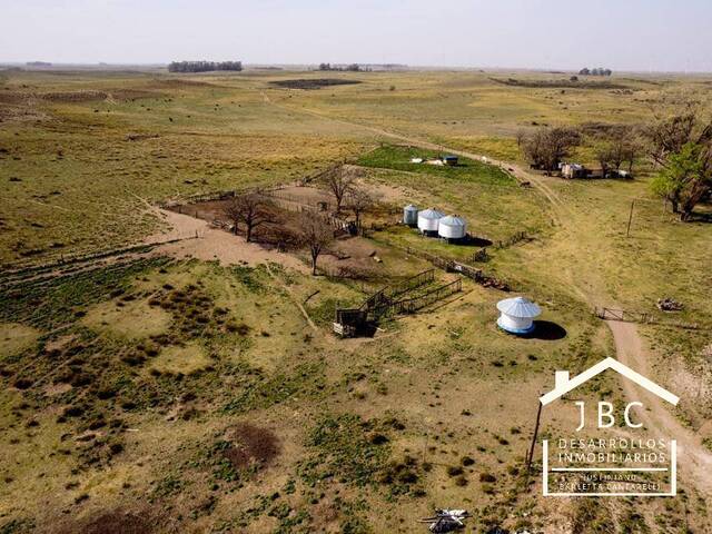 #331 - CAMPO RURAL para Venta en Mayor Buratovich - AR-B - 1