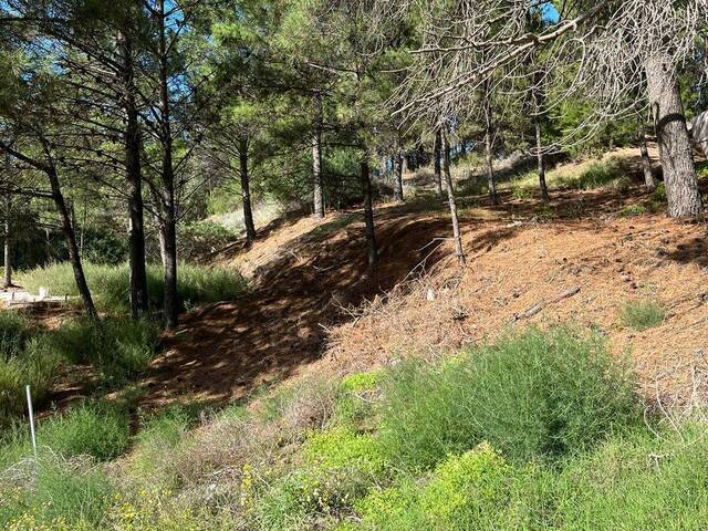 #406 - TERRENO para Venta en Monte Hermoso - AR-B - 1
