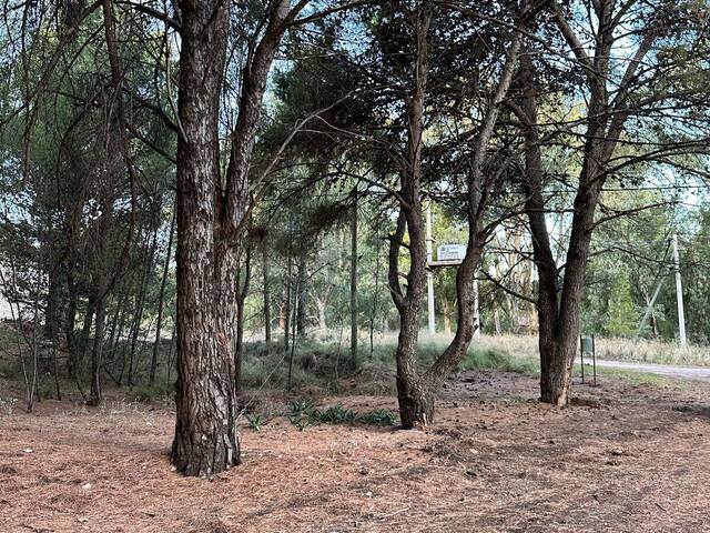 #451 - TERRENO para Venta en Balneario Pehuen-co - AR-B