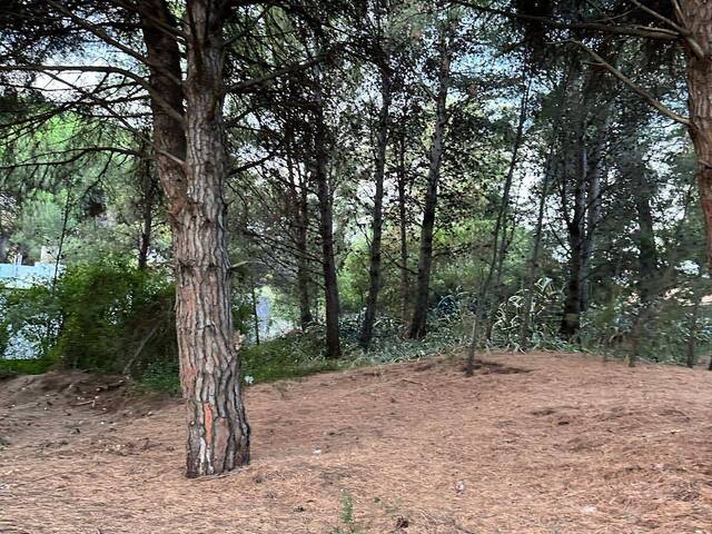 #451 - TERRENO para Venta en Balneario Pehuen-co - AR-B