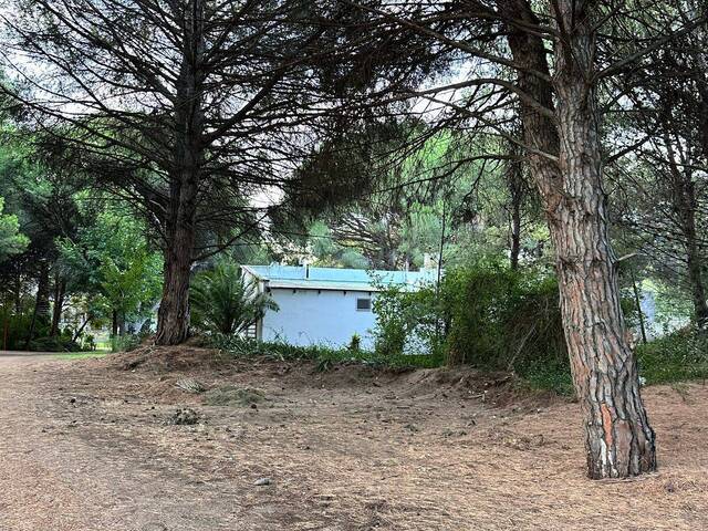 TERRENO para Venta en Balneario Pehuen-co - 5