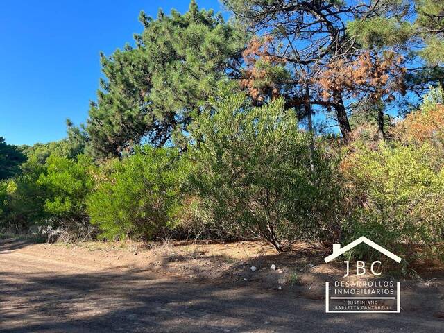#450 - TERRENO para Venta en Monte Hermoso - AR-B - 1