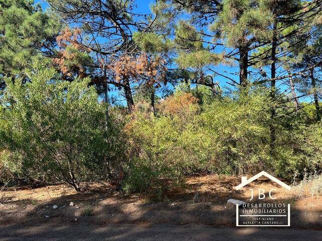 #450 - TERRENO para Venta en Monte Hermoso - AR-B - 2