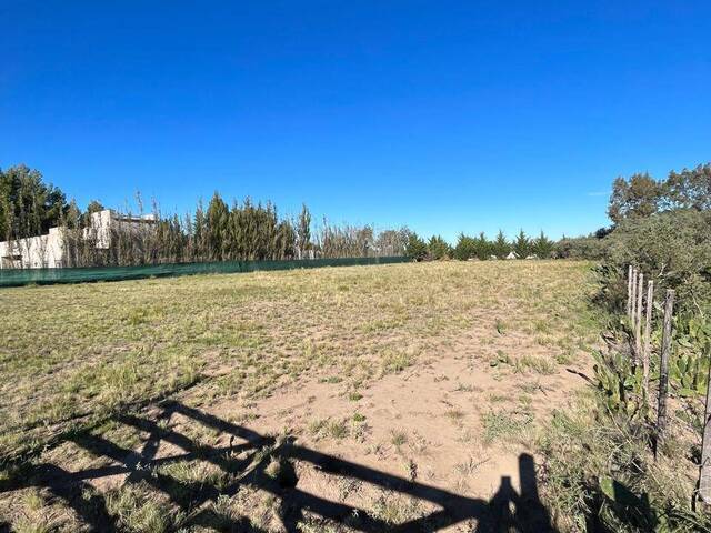 #490 - Terreno para Venta en Bahia Blanca - AR-B - 1