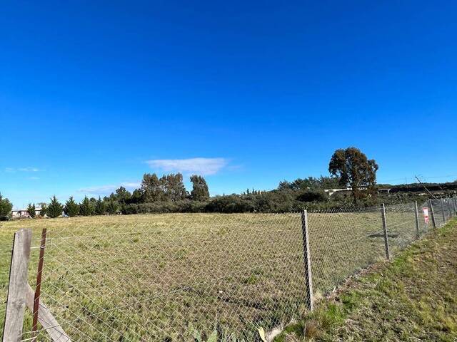 #490 - Terreno para Venta en Bahia Blanca - AR-B - 3