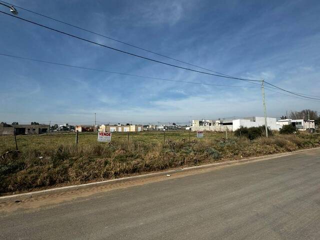 TERRENO para Venta en Bahia Blanca - 4