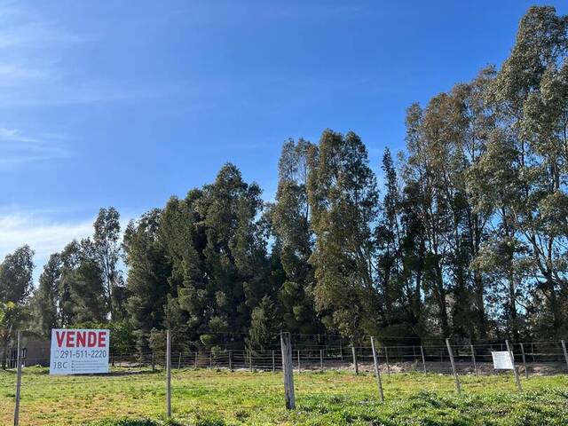 TERRENO para Venta en Bahia Blanca - 4