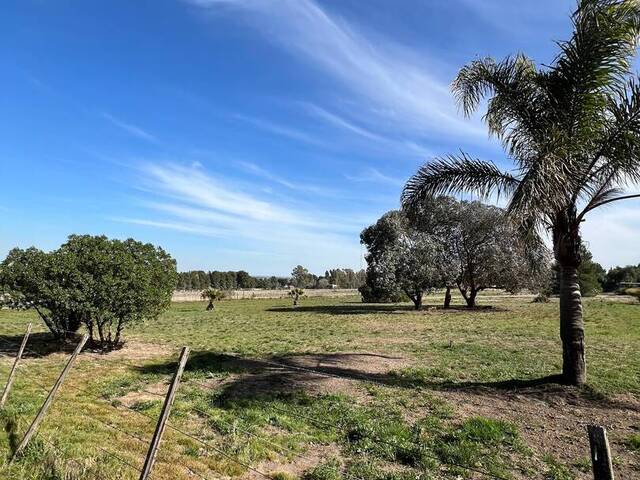 TERRENO para Venta en Bahia Blanca - 5
