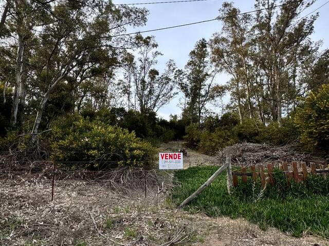 TERRENO para Venta en Monte Hermoso - 4
