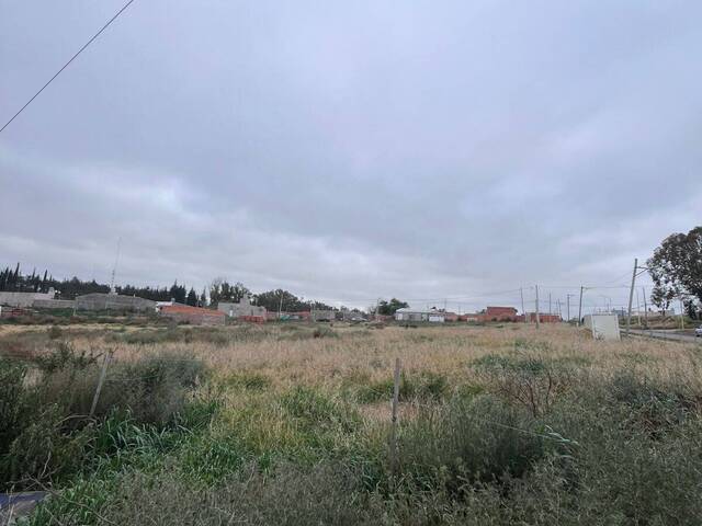 #609 - TERRENO para Venta en Bahia Blanca - AR-B - 3