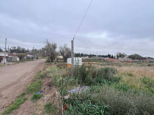 TERRENO para Venta en Bahia Blanca - 5