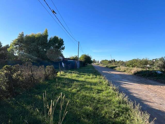 #706 - TERRENO para Venta en Bahia Blanca - AR-B