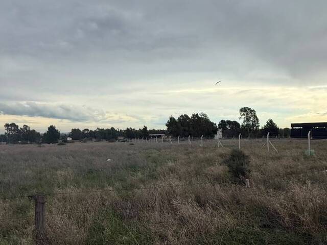 TERRENO para Venta en Bahia Blanca - 4